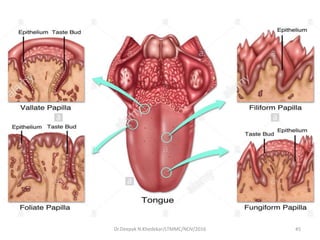 Dr.Deepak N.Khedekar/LTMMC/NOV/2016 45
 