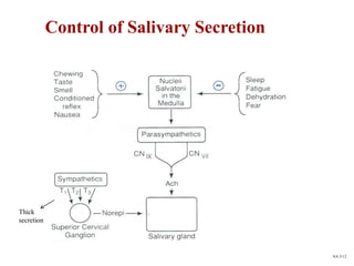 Control of Salivary Secretion
My name
is
NA 5/12
Thick
secretion
 