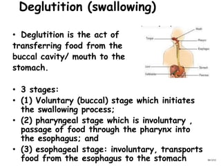 Deglutition (swallowing)
• Deglutition is the act of
transferring food from the
buccal cavity/ mouth to the
stomach.
• 3 stages:
• (1) Voluntary (buccal) stage which initiates
the swallowing process;
• (2) pharyngeal stage which is involuntary ,
passage of food through the pharynx into
the esophagus; and
• (3) esophageal stage: involuntary, transports
food from the esophagus to the stomach NA 5/12
 