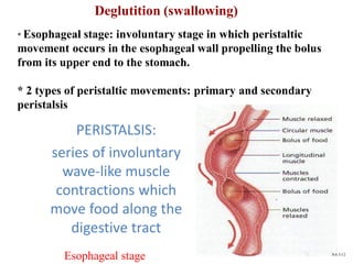 Deglutition (swallowing)
* Esophageal stage: involuntary stage in which peristaltic
movement occurs in the esophageal wall propelling the bolus
from its upper end to the stomach.
* 2 types of peristaltic movements: primary and secondary
peristalsis
PERISTALSIS:
series of involuntary
wave-like muscle
contractions which
move food along the
digestive tract
Esophageal stage NA 5/12
 