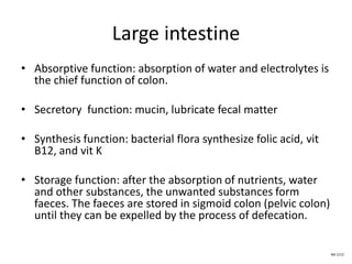 Large intestine
• Absorptive function: absorption of water and electrolytes is
the chief function of colon.
• Secretory function: mucin, lubricate fecal matter
• Synthesis function: bacterial flora synthesize folic acid, vit
B12, and vit K
• Storage function: after the absorption of nutrients, water
and other substances, the unwanted substances form
faeces. The faeces are stored in sigmoid colon (pelvic colon)
until they can be expelled by the process of defecation.
NA 5/12
 