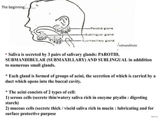 * Saliva is secreted by 3 pairs of salivary glands: PAROTID,
SUBMANDIBULAR (SUBMAXILLARY) AND SUBLINGUAL in adddition
to numerous small glands.
* Each gland is formed of groups of acini, the secretion of which is carried by a
duct which opens into the buccal cavity.
* The acini concists of 2 types of cell:
1) serous cells (secrete thin/watery saliva rich in enzyme ptyalin : digesting
starch)
2) mucous cells (secrete thick / viscid saliva rich in mucin : lubricating and for
surface protective purpose
/submandibular
NA 5/12
The beginning…………
 