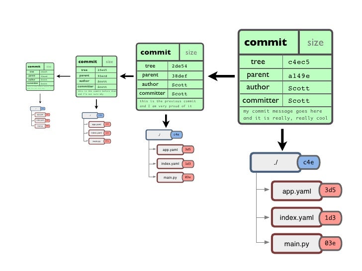 Git дерево. Два git дерева. Ru. Программирование fork. Git дерево.