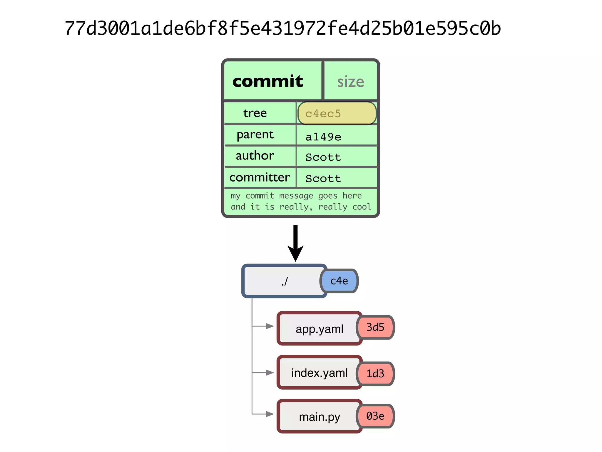 77d3001a1de6bf8f5e431972fe4d25b01e595c0b commit size ae668.. tree parent author committer my commit message goes here and it is really, really cool c4ec5 a149e Scott Scott app.yaml index.yaml main.py ./ c4e 03e 1d3 3d5 