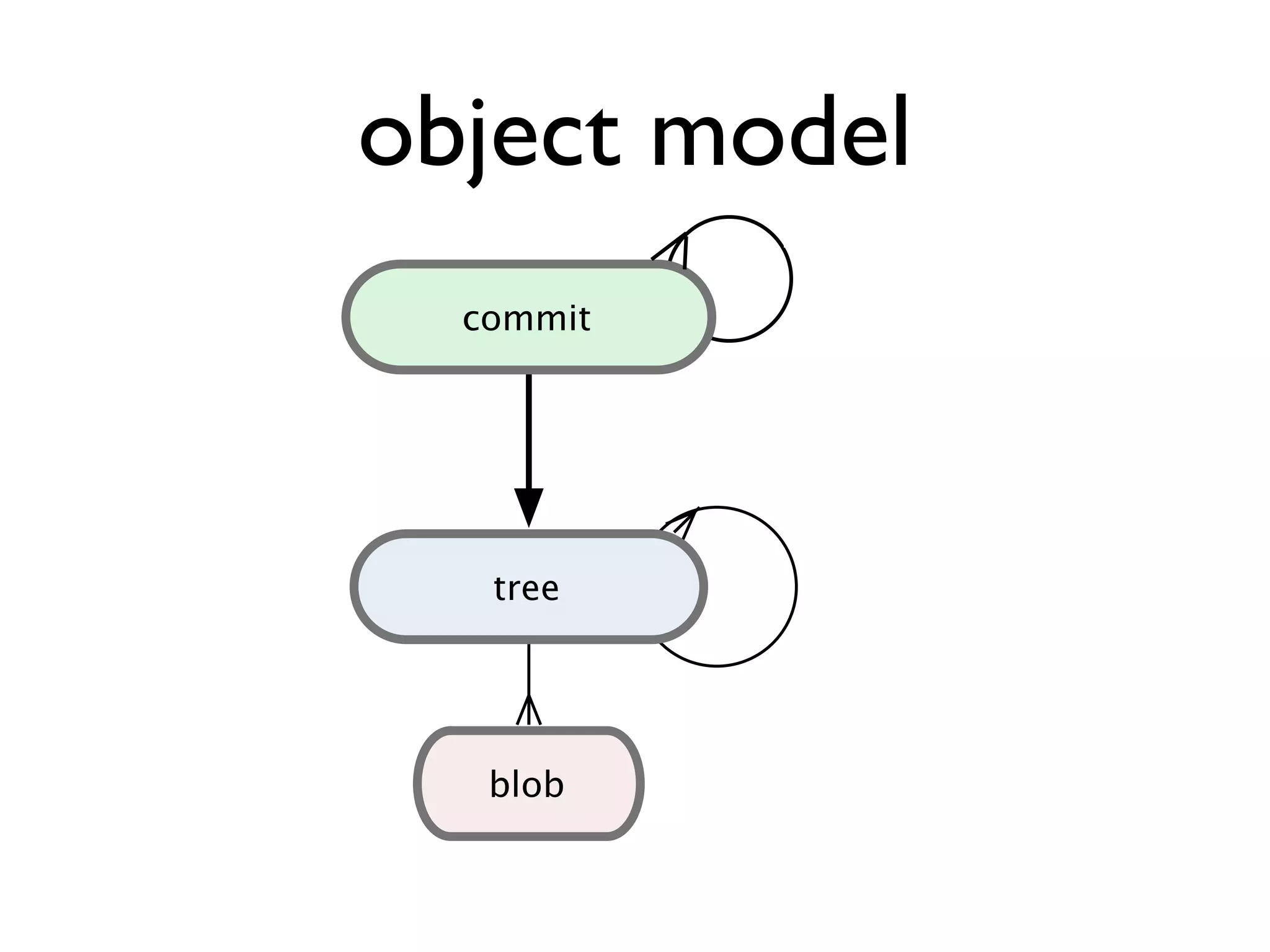 object model blob commit tree C1 }directory list ﬁle contents pointer to a snapshot 