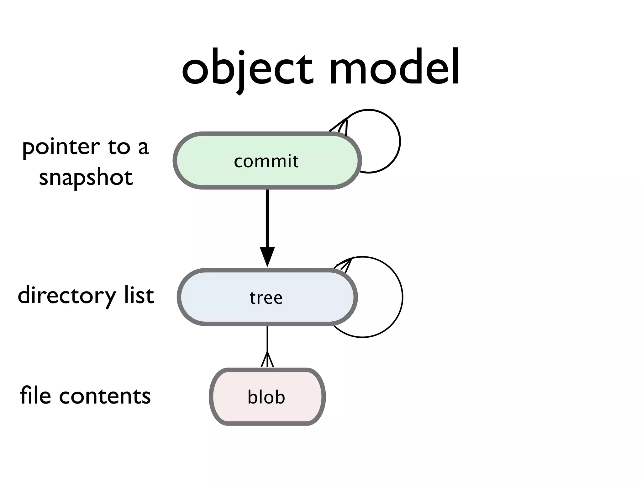 object model blob commit tree C1 }directory list ﬁle contents pointer to a snapshot 