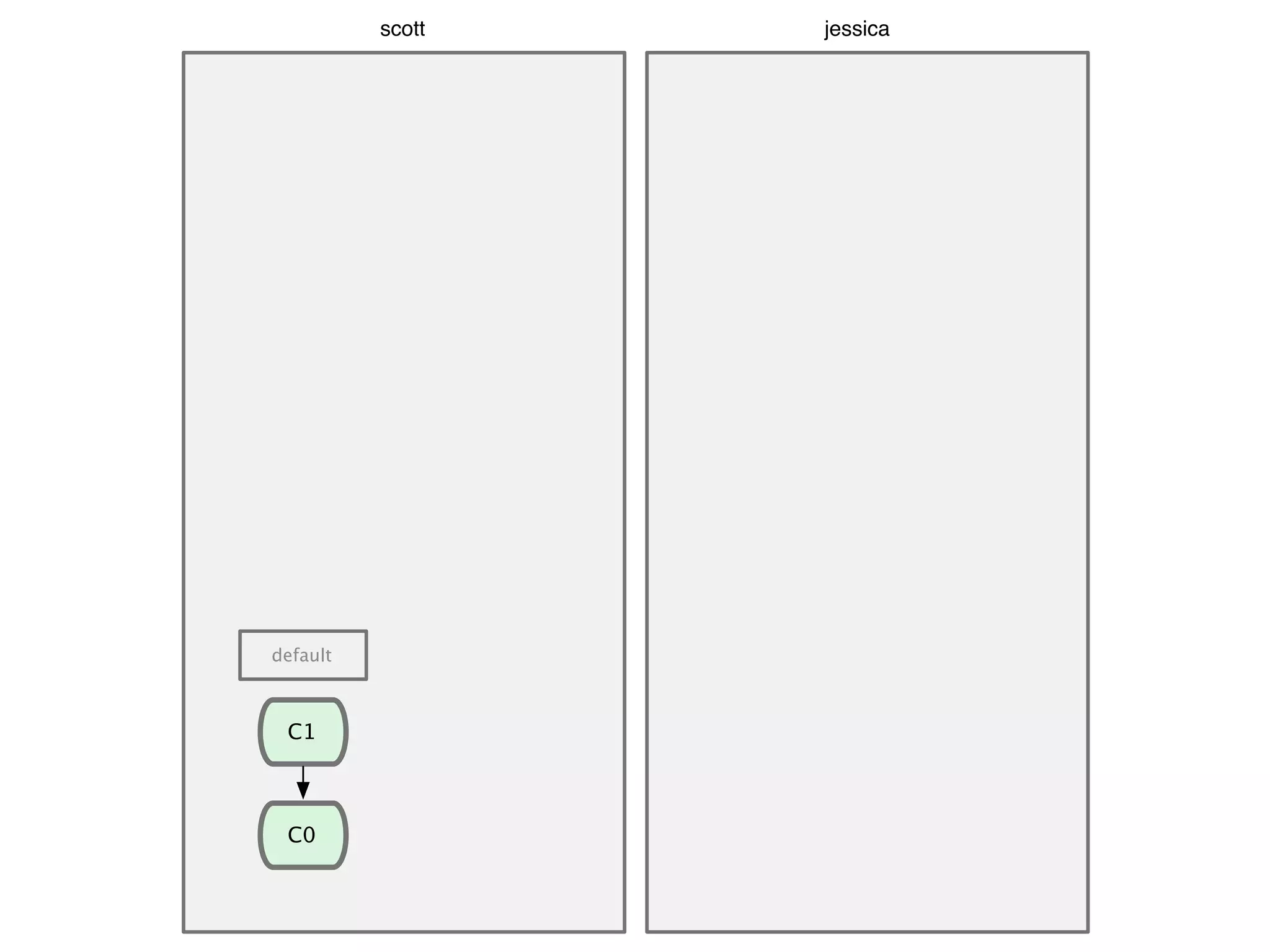 C1 C0 default scott jessica 