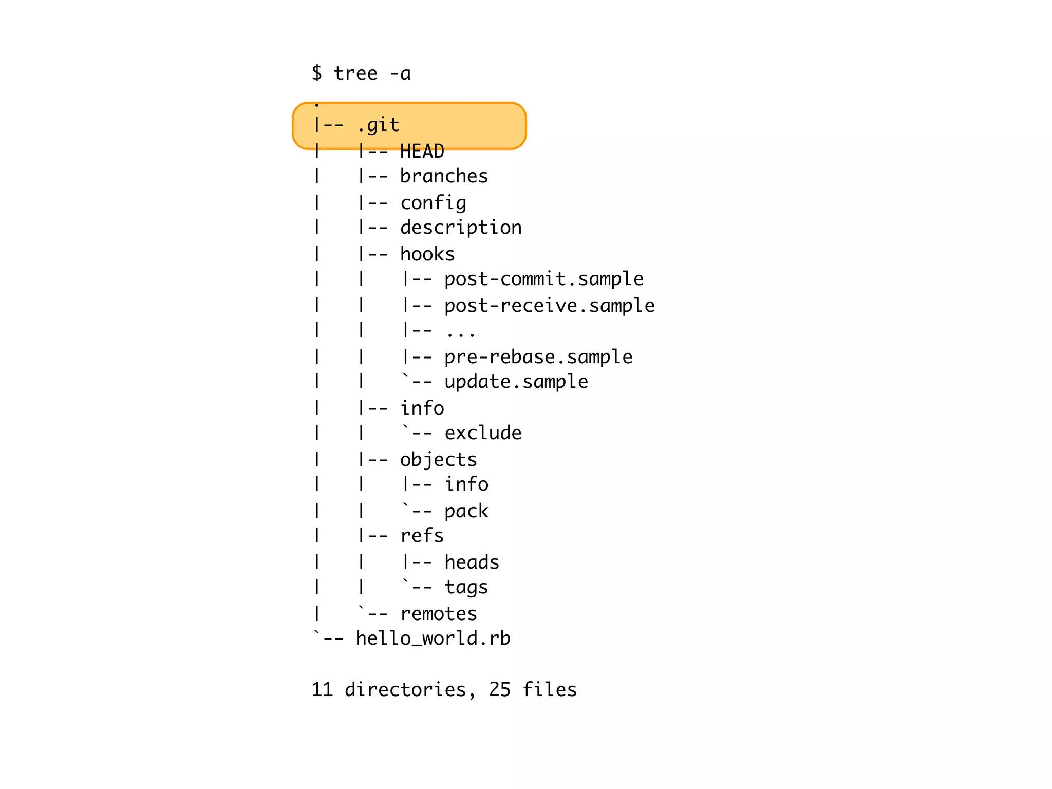 $ tree -a . |-- .git | |-- HEAD | |-- branches | |-- config | |-- description | |-- hooks | | |-- post-commit.sample | | |-- post-receive.sample | | |-- ... | | |-- pre-rebase.sample | | `-- update.sample | |-- info | | `-- exclude | |-- objects | | |-- info | | `-- pack | |-- refs | | |-- heads | | `-- tags | `-- remotes `-- hello_world.rb 11 directories, 25 files 