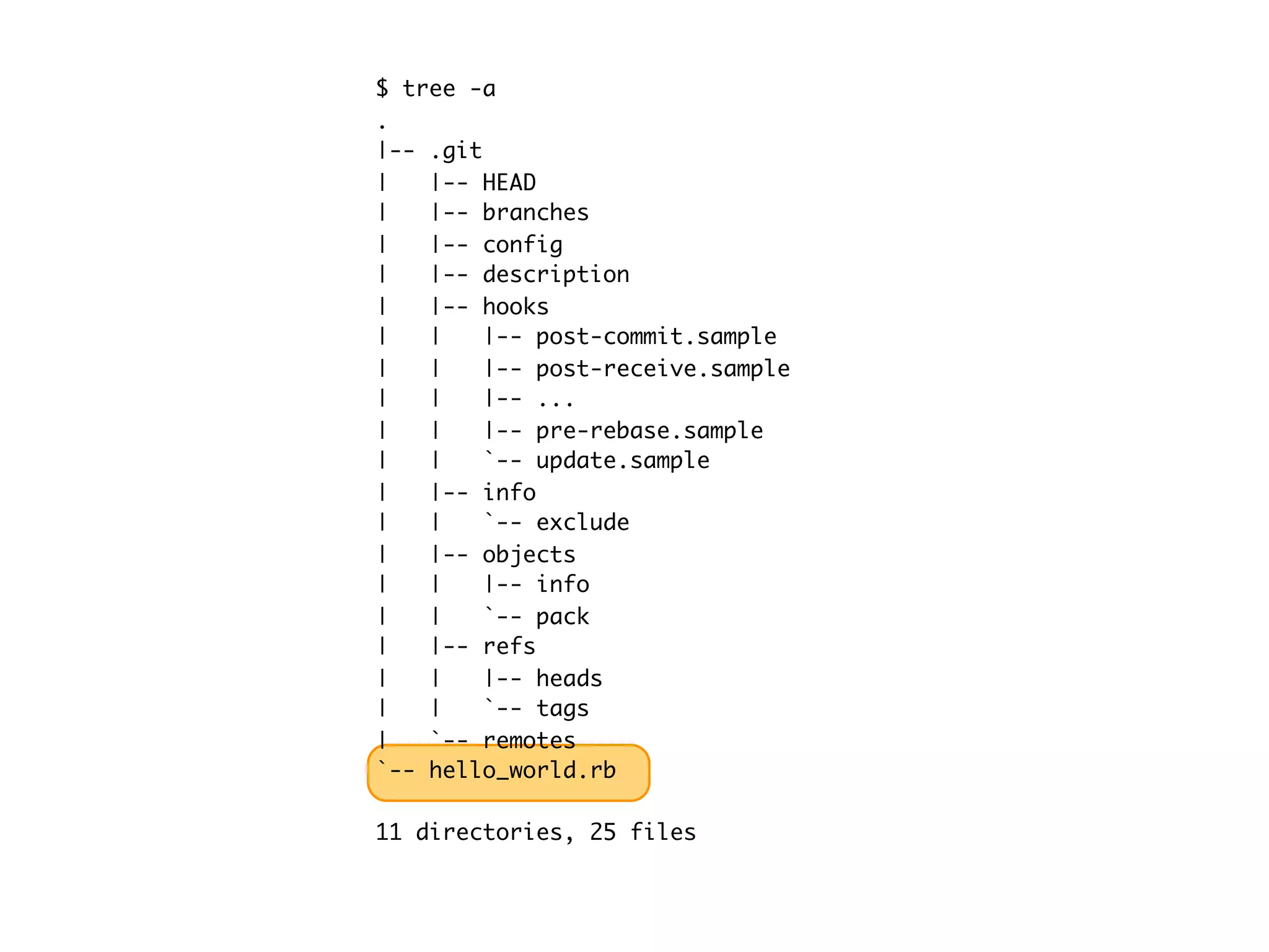 $ tree -a . |-- .git | |-- HEAD | |-- branches | |-- config | |-- description | |-- hooks | | |-- post-commit.sample | | |-- post-receive.sample | | |-- ... | | |-- pre-rebase.sample | | `-- update.sample | |-- info | | `-- exclude | |-- objects | | |-- info | | `-- pack | |-- refs | | |-- heads | | `-- tags | `-- remotes `-- hello_world.rb 11 directories, 25 files 