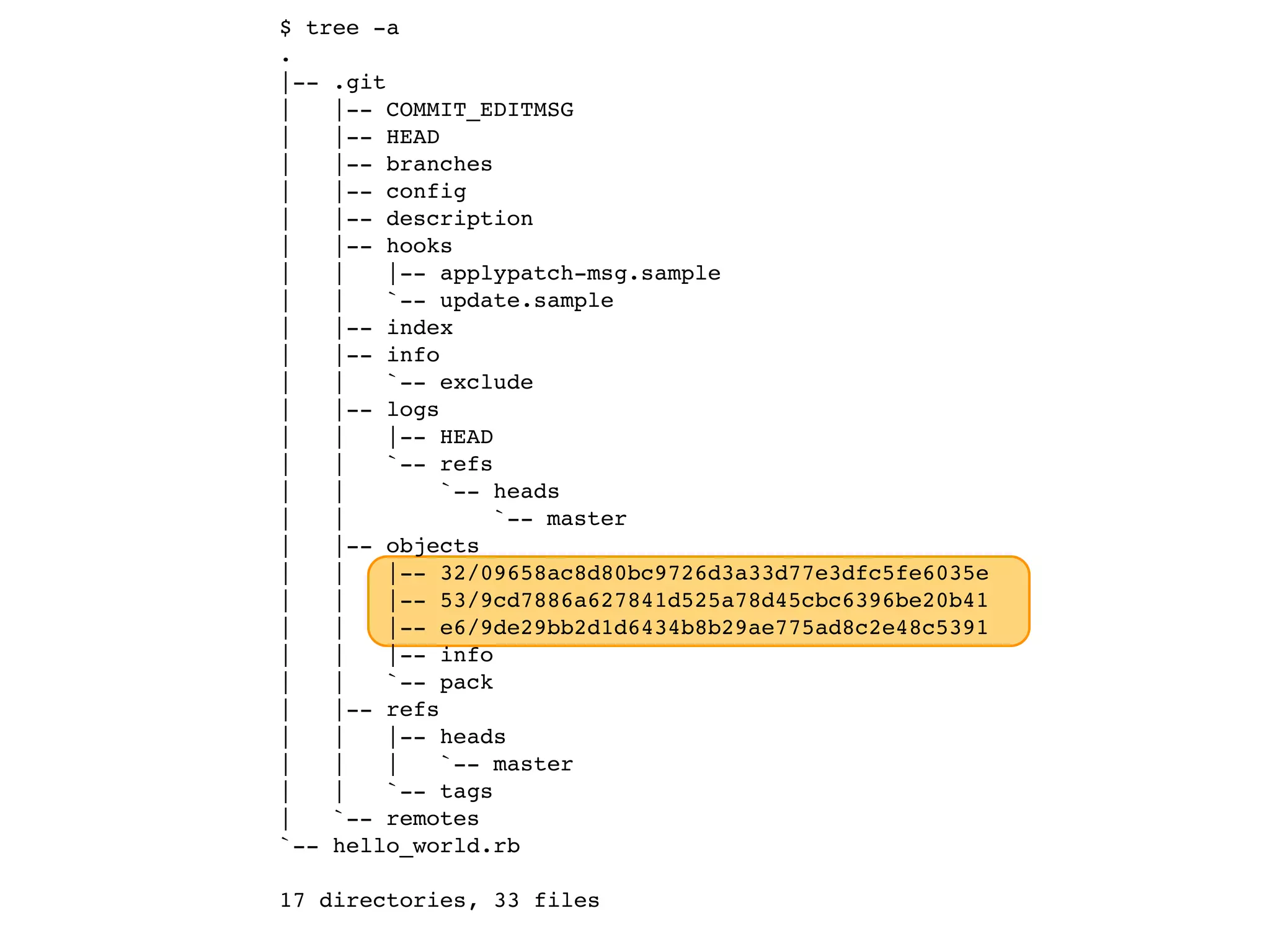 $ tree -a . |-- .git | |-- COMMIT_EDITMSG | |-- HEAD | |-- branches | |-- config | |-- description | |-- hooks | | |-- applypatch-msg.sample | | `-- update.sample | |-- index | |-- info | | `-- exclude | |-- logs | | |-- HEAD | | `-- refs | | `-- heads | | `-- master | |-- objects | | |-- 32/09658ac8d80bc9726d3a33d77e3dfc5fe6035e | | |-- 53/9cd7886a627841d525a78d45cbc6396be20b41 | | |-- e6/9de29bb2d1d6434b8b29ae775ad8c2e48c5391 | | |-- info | | `-- pack | |-- refs | | |-- heads | | | `-- master | | `-- tags | `-- remotes `-- hello_world.rb 17 directories, 33 files 