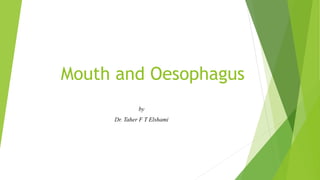 Mouth and Oesophagus
by
Dr. Taher F T Elshami
 