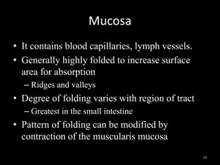 Mucosa
• It contains blood capillaries, lymph vessels.
• Generally highly folded to increase surface
area for absorption
– Ridges and valleys
• Degree of folding varies with region of tract
– Greatest in the small intestine
• Pattern of folding can be modified by
contraction of the muscularis mucosa
13
 
