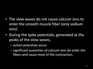 • The slow waves do not cause calcium ions to
enter the smooth muscle fiber (only sodium
ions)
• During the spike potentials, generated at the
peaks of the slow waves,
– action potentials occur
– significant quantities of calcium ions do enter the
fibers and cause most of the contraction.
31
 
