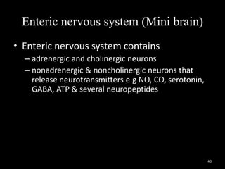 Enteric nervous system (Mini brain)
• Enteric nervous system contains
– adrenergic and cholinergic neurons
– nonadrenergic & noncholinergic neurons that
release neurotransmitters e.g NO, CO, serotonin,
GABA, ATP & several neuropeptides
40
 