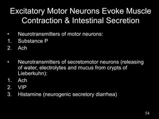 Excitatory Motor Neurons Evoke Muscle
Contraction & Intestinal Secretion
• Neurotransmitters of motor neurons:
1. Substance P
2. Ach
• Neurotransmitters of secretomotor neurons (releasing
of water, electrolytes and mucus from crypts of
Lieberkuhn):
1. Ach
2. VIP
3. Histamine (neurogenic secretory diarrhea)
54
 
