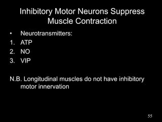 Inhibitory Motor Neurons Suppress
Muscle Contraction
• Neurotransmitters:
1. ATP
2. NO
3. VIP
N.B. Longitudinal muscles do not have inhibitory
motor innervation
55
 