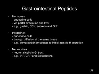 Gastrointestinal Peptides
• Hormones
- endocrine cells
- via portal circulation and liver
- e.g., gastrin, CCK, secretin and GIP
• Paracrines
- endocrine cells
- through diffusion at the same tissue
- e.g., somatostatin (mucosa), to inhibit gastric H secretion
• Neurocrines
- neuronal cells in GI tract
- e.g., VIP, GRP and Enkephalins
58
 