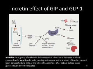 Incretin effect of GIP and GLP-1
82
Incretins are a group of metabolic hormones that stimulate a decrease in blood
glucose levels. Incretins do so by causing an increase in the amount of insulin released
from pancreatic beta cells of the islets of Langerhans after eating, before blood
glucose levels become elevated
 