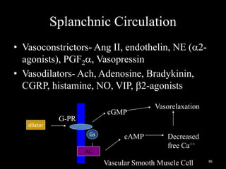 Splanchnic Circulation
• Vasoconstrictors- Ang II, endothelin, NE (a2-
agonists), PGF2a, Vasopressin
• Vasodilators- Ach, Adenosine, Bradykinin,
CGRP, histamine, NO, VIP, b2-agonists
dilator
G-PR
Vascular Smooth Muscle Cell
Gs
AC
cAMP Decreased
free Ca++
Vasorelaxation
cGMP
86
 