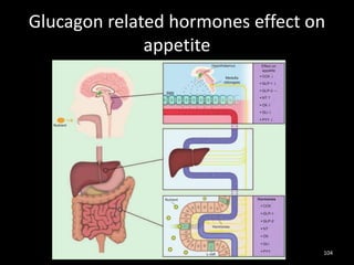 Glucagon related hormones effect on
appetite
104
 