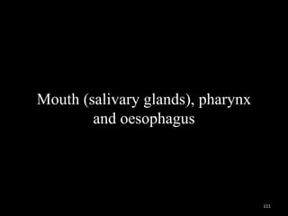 Mouth (salivary glands), pharynx
and oesophagus
111
 