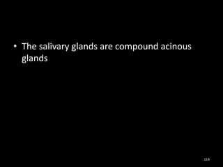 • The salivary glands are compound acinous
glands
114
 