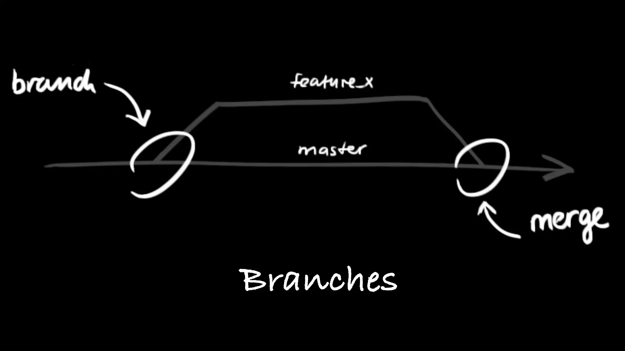 Branches
 