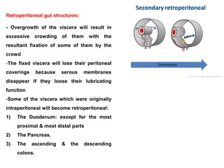 Retroperitoneal gut structures:
- Overgrowth of the viscera will result in
excessive crowding of them with the
resultant fixation of some of them by the
crowd
-The fixed viscera will lose their peritoneal
coverings because serous membranes
disappear if they loose their lubricating
function
-Some of the viscera which were originally
intraperitoneal will become retroperitoneal:
1) The Duodenum: except for the most
proximal & most distal parts
2) The Pancreas.
3) The ascending & the descending
colons.
 