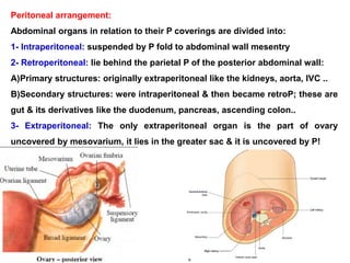 Peritoneal arrangement:
Abdominal organs in relation to their P coverings are divided into:
1- Intraperitoneal: suspended by P fold to abdominal wall mesentry
2- Retroperitoneal: lie behind the parietal P of the posterior abdominal wall:
A)Primary structures: originally extraperitoneal like the kidneys, aorta, IVC ..
B)Secondary structures: were intraperitoneal & then became retroP; these are
gut & its derivatives like the duodenum, pancreas, ascending colon..
3- Extraperitoneal: The only extraperitoneal organ is the part of ovary
uncovered by mesovarium, it lies in the greater sac & it is uncovered by P!
 
