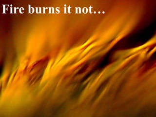 Page 20
Fire burns it not…
 