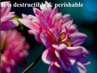 Page 32
It is destructible & perishable
 