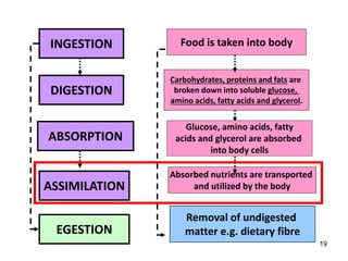 19
INGESTION
DIGESTION
ABSORPTION
EGESTION
ASSIMILATION
Food is taken into body
Carbohydrates, proteins and fats are
broken down into soluble glucose,
amino acids, fatty acids and glycerol.
Glucose, amino acids, fatty
acids and glycerol are absorbed
into body cells
Removal of undigested
matter e.g. dietary fibre
Absorbed nutrients are transported
and utilized by the body
 