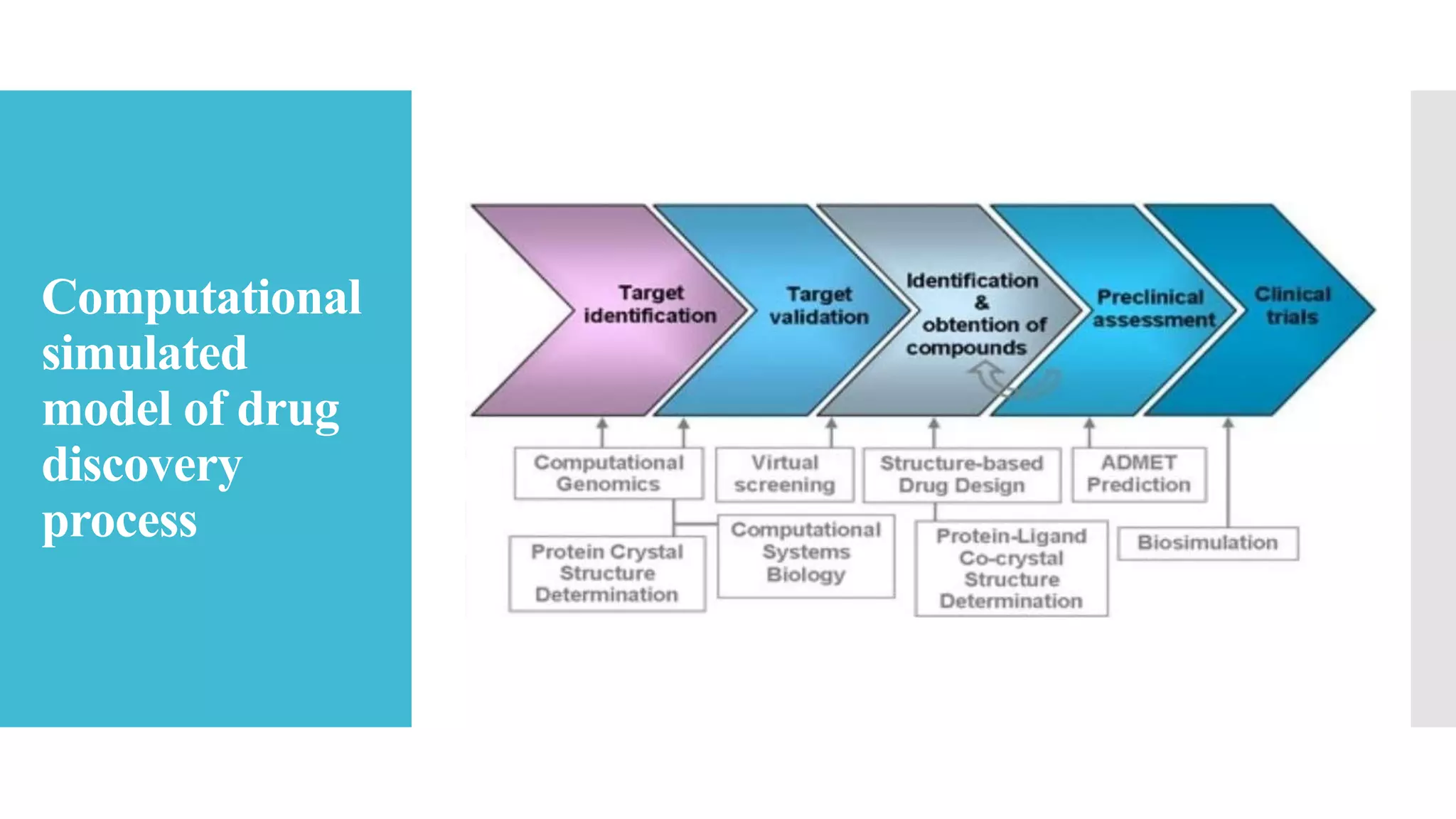 Computational
simulated
model of drug
discovery
process
 