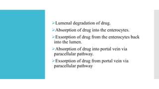 Lumenal degradation of drug.
Absorption of drug into the enterocytes.
Exsorption of drug from the enterocytes back
into the lumen.
Absorption of drug into portal vein via
paracellular pathway.
Exsorption of drug from portal vein via
paracellular pathway
 