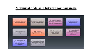 Movement of drug in between compartments
 