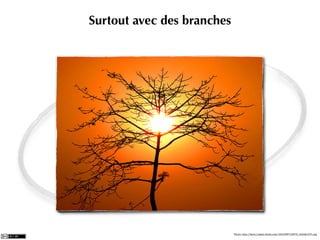 Surtout avec des branches




                            Photo: http://farm1.static.ﬂickr.com/154/356715278_0e0cfe107c.jpg
 