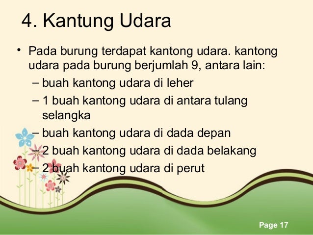 MEKANISME PERNAPASAN BURUNG