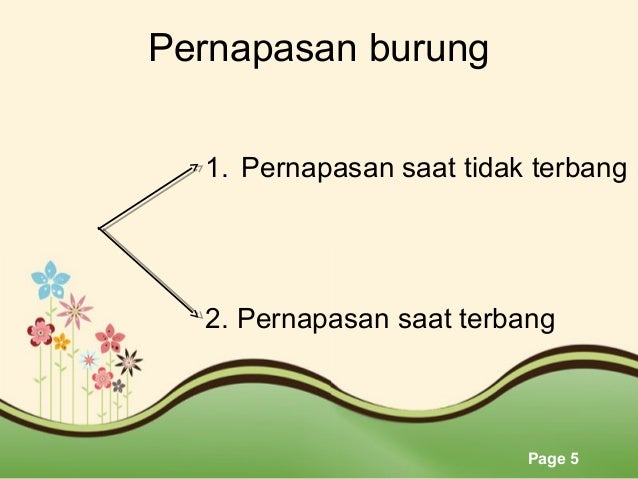 Mekanisme Pernapasan Burung