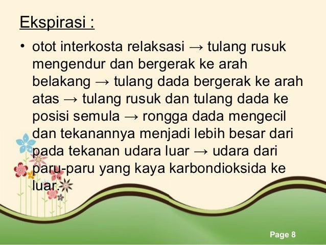 Mekanisme Pernapasan Burung