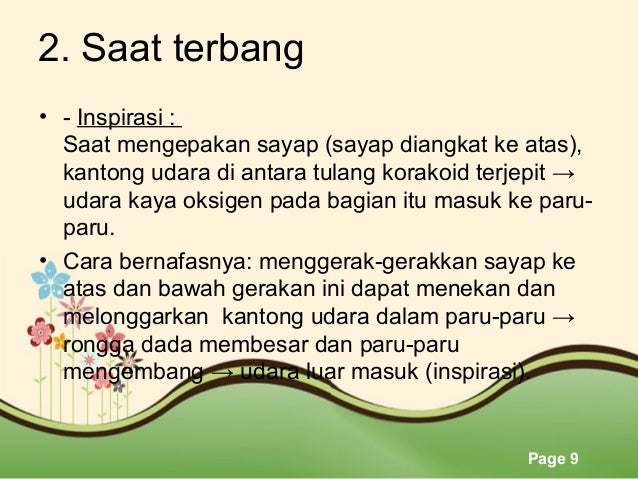 Mekanisme Pernapasan Burung