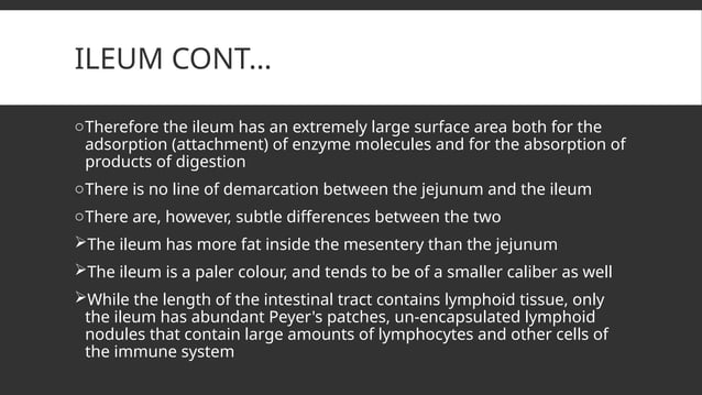 GIT ANATOMY IN PHARMACEUTICAL SCIENCES.pptx