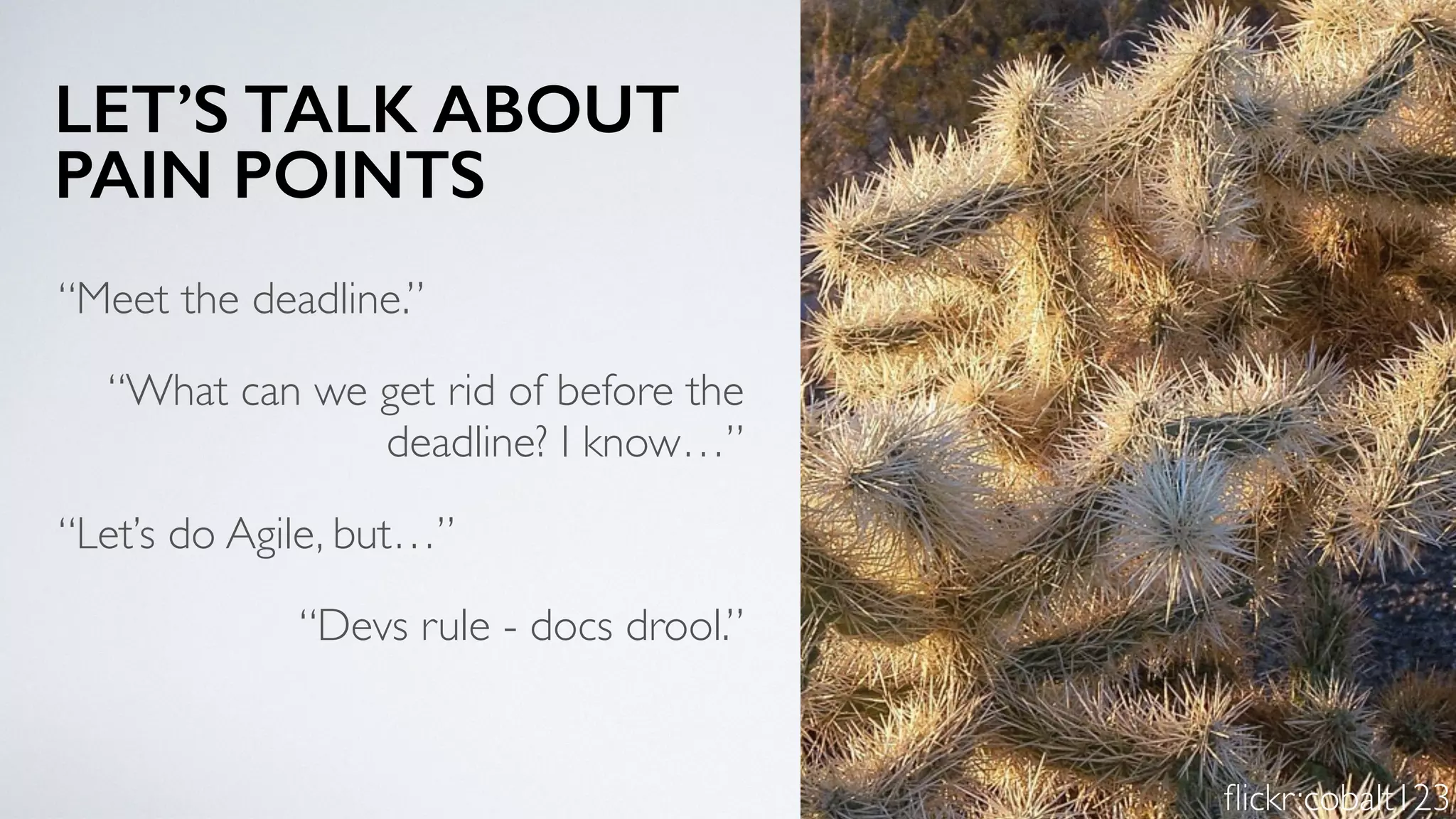 LET’S TALK ABOUT 
PAIN POINTS
“Meet the deadline.”
“What can we get rid of before the
deadline? I know…”
“Let’s do Agile, but…”
“Devs rule - docs drool.”
ﬂickr:cobalt123
 