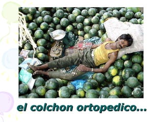 el colchon ortopedico ... 