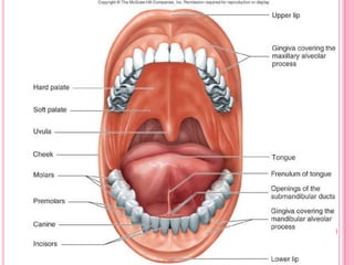 Excessive flatulence – maybe symptom of gallbladder disease or food intolerance.