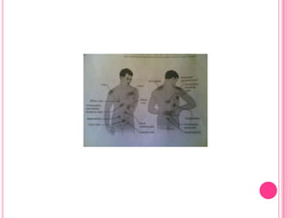 Note the character, duration, pattern, frequency, location, distribution and time of the pain.