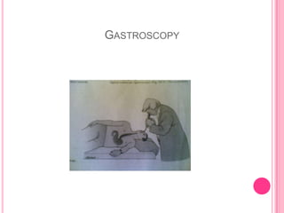 PHYSICAL ASSESSMENTMouthInspection of the mouth, tongue, buccal mucosa, teeth and gums