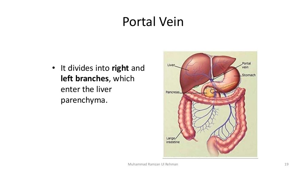git-blood-supply