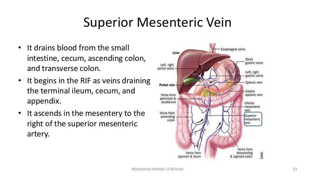 git-blood-supply