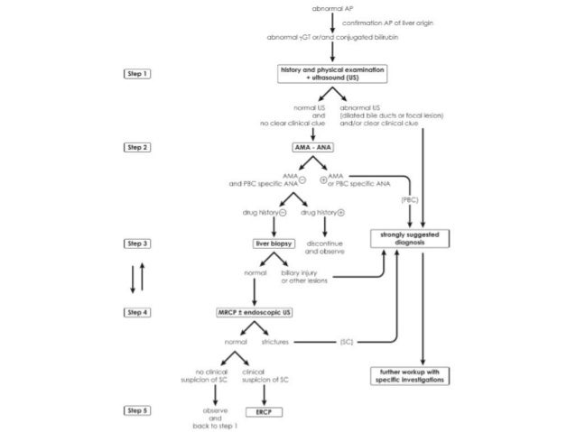 epub cartilage tissue engineering methods and