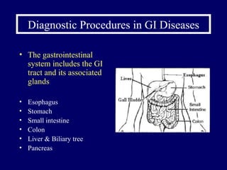 Diagnostic Procedures in GI Diseases The gastrointestinal system includes the GI tract and its associated glands Esophagus Stomach Small intestine Colon Liver & Biliary tree Pancreas  